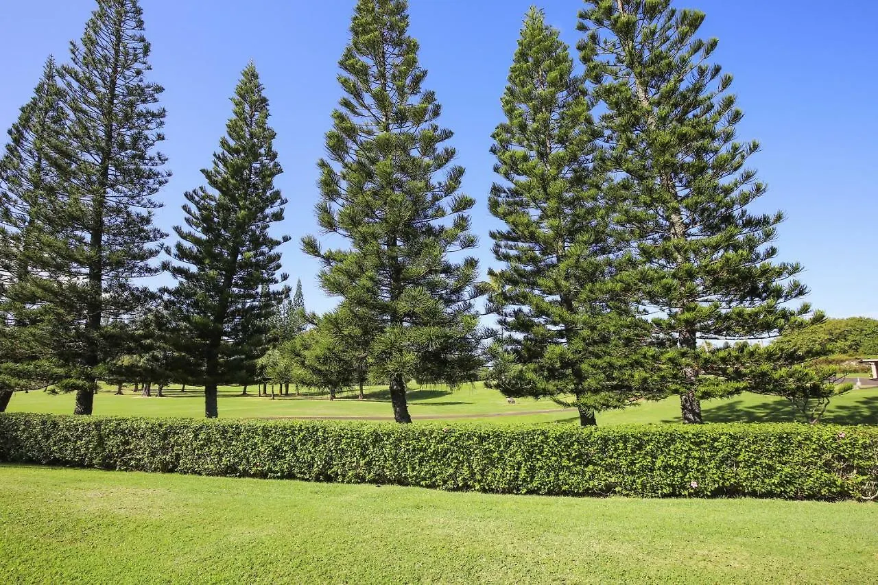Apartment Fazio First Tee 13 Condo Kahuku